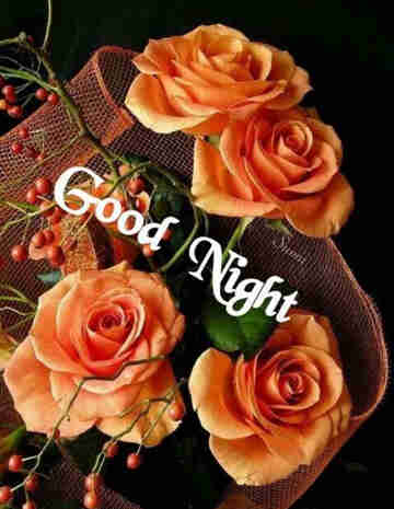 Good Night Flowers